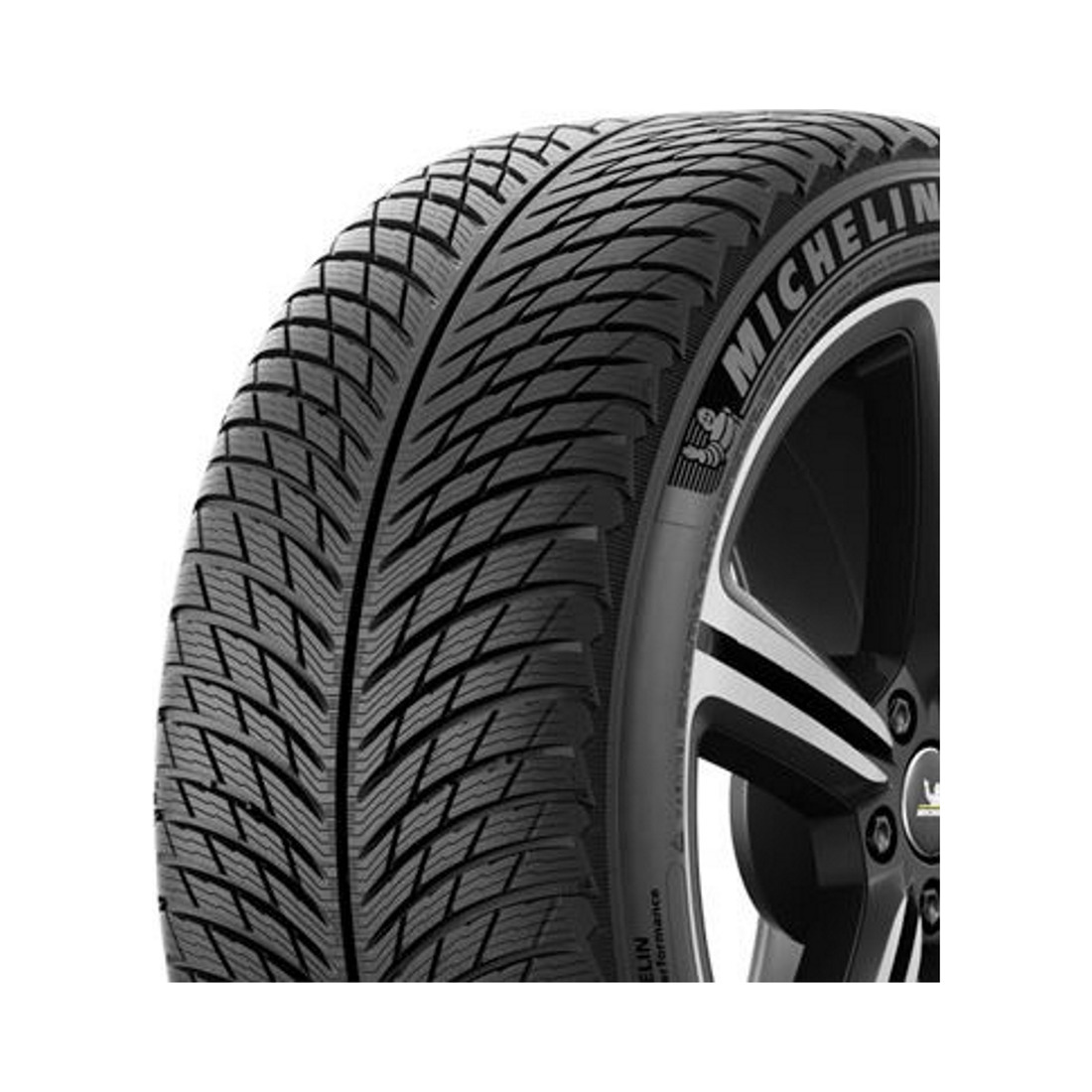 255/35  R20  Michelin Pilot Alpin 5 97W Вид 1